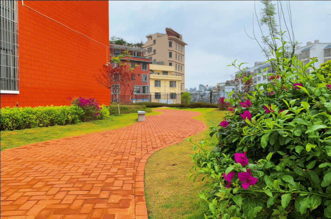 文山一批学校美出圈……_十一小学_校园_绿化