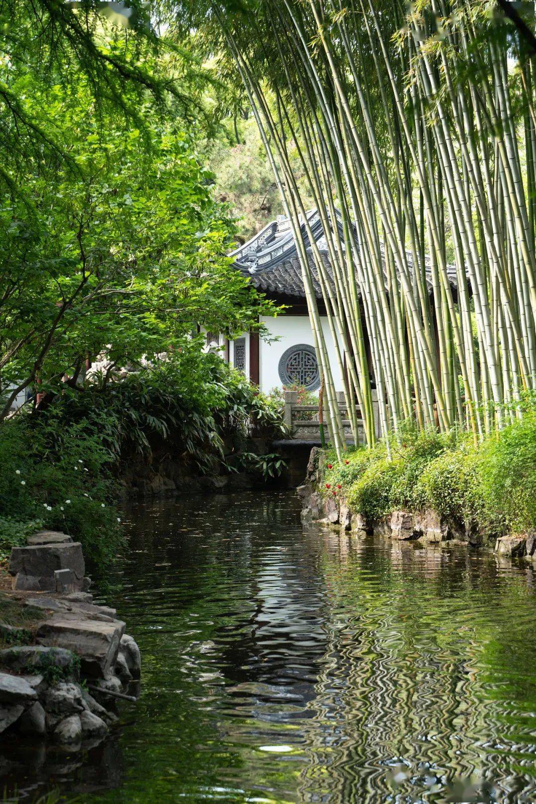 便民|半价福利来啦~本周末古猗园走起~_旅游_中国_上海