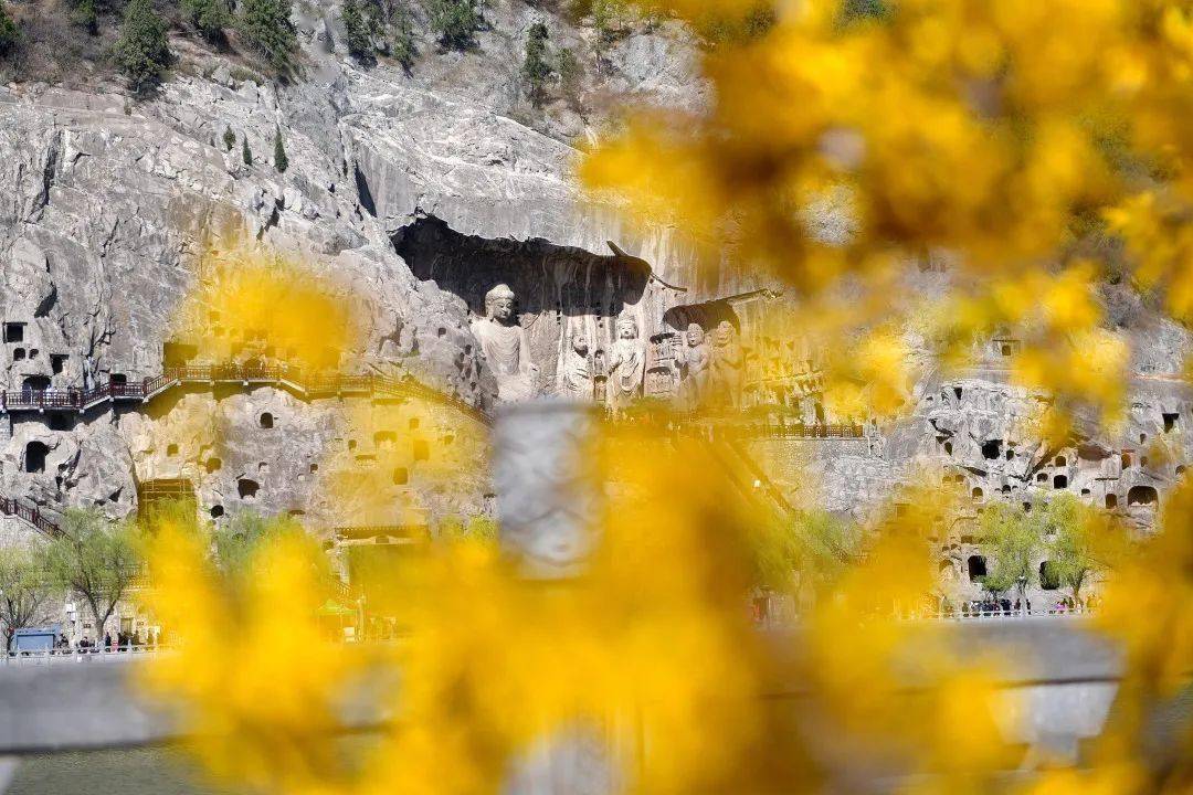 金斗山景区门票图片