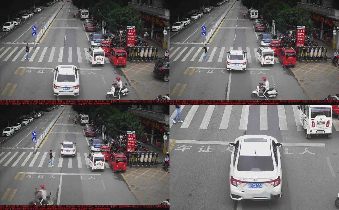 这些车没有礼让行人已被抓拍!_宁远_文明_人行横道