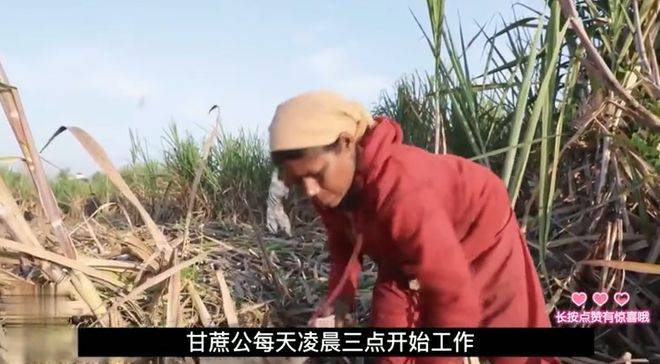 乌克兰卖淫合法化问题_乌克兰代孕公司_乌克兰代孕产业