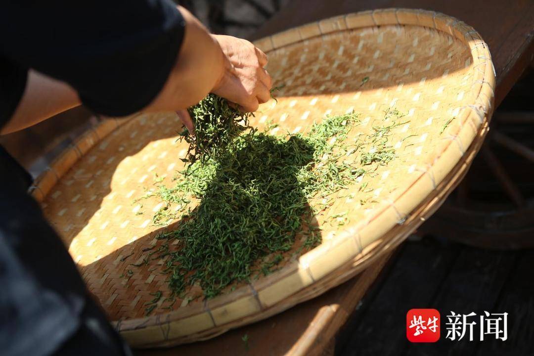 "5·21国际茶日"南京茶文化雅集活动在江宁区黄龙岘举行_文化村_技艺