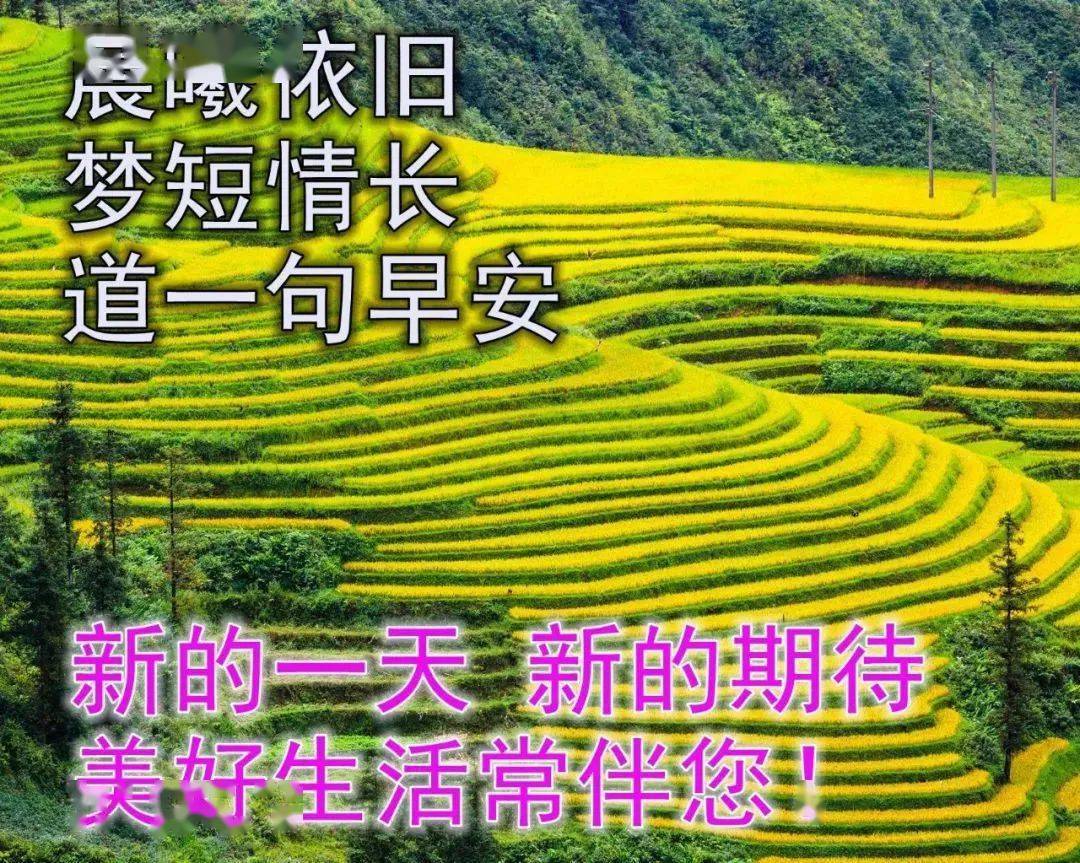 2023最新早上好问候,新版早上好祝福语大全_星期_朋友_安康