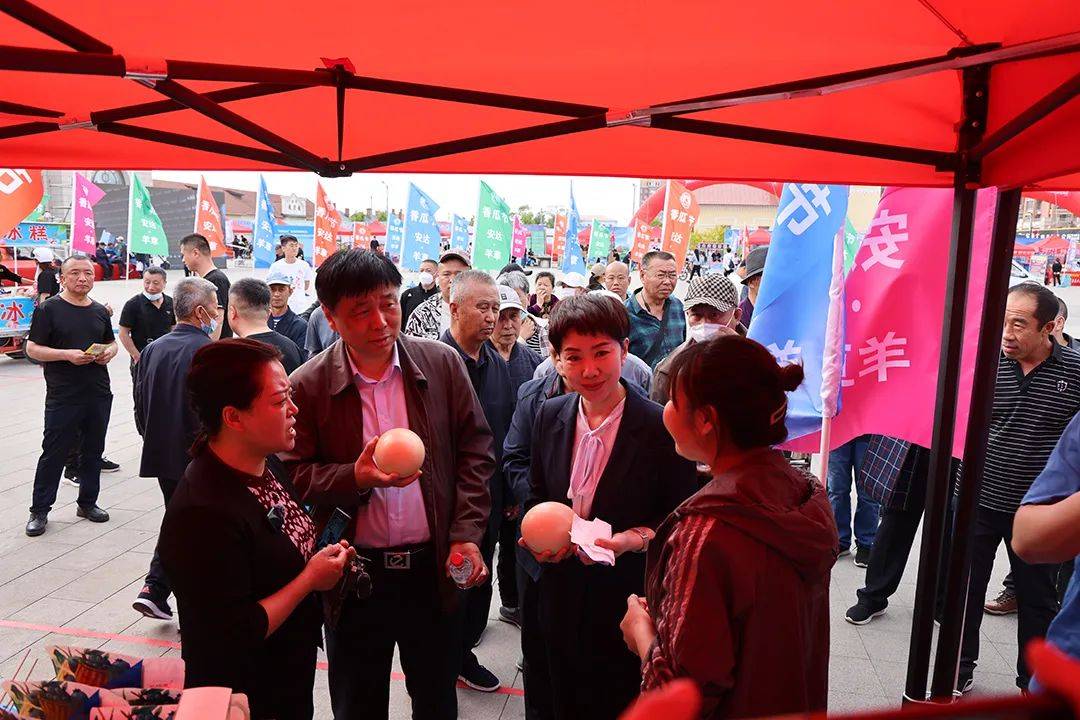 安达农销会,绥化分公司精彩亮相斩获颇丰_安达市_北大荒_合作
