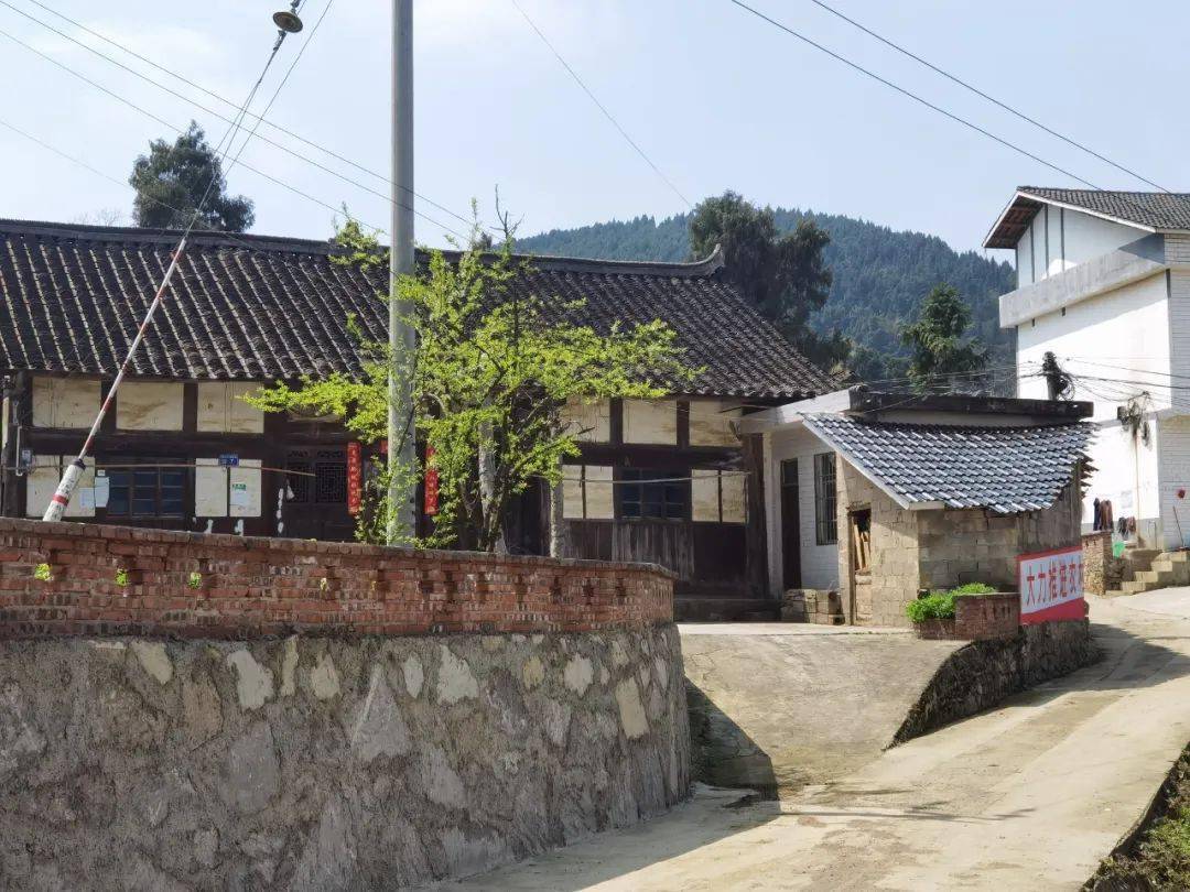 【聚焦农村"五治"】开阳县楠木渡镇:"零一二三"举措扎实推进农村"五治