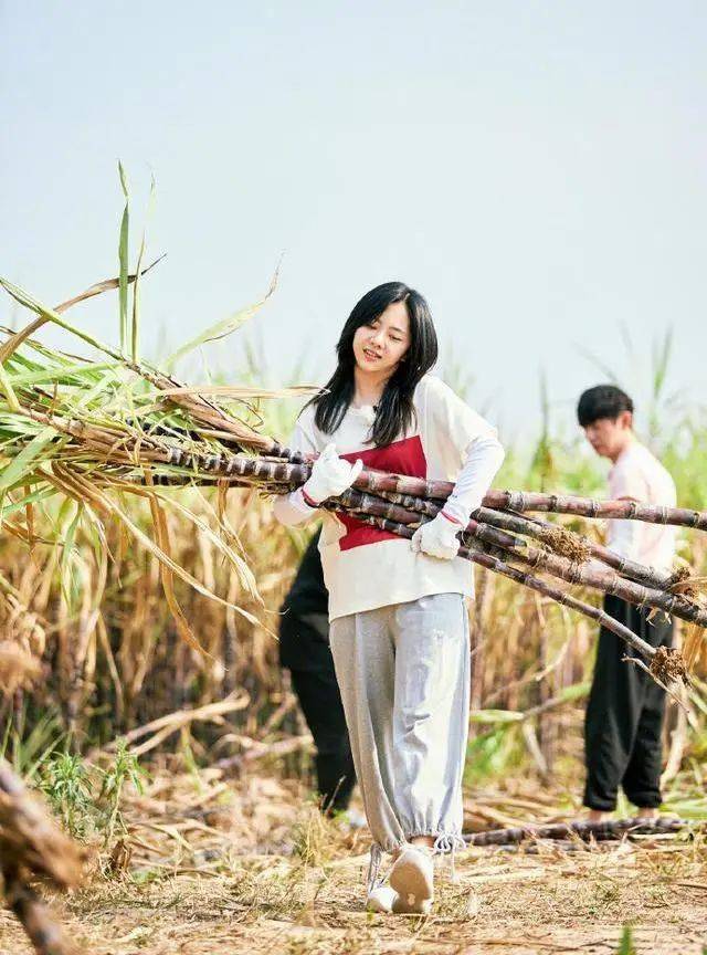 谭松韵30岁饰演16岁少女,一天健身2小时,自律是她的底气_瑜伽_身材