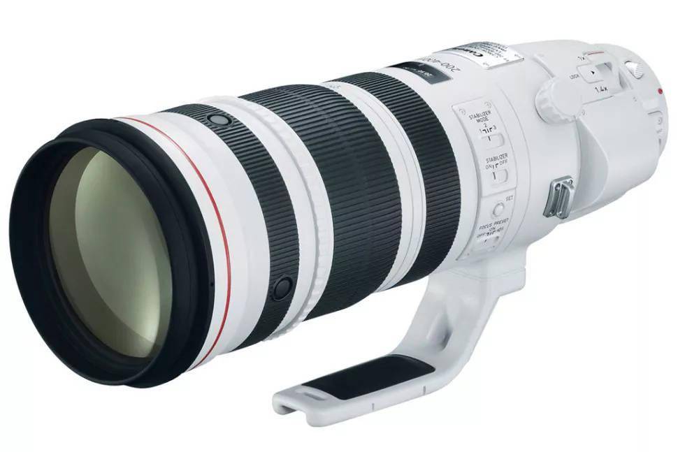 CanonRumors确认佳能RF 200-500mm f/4L IS USM最快在第四季度推出