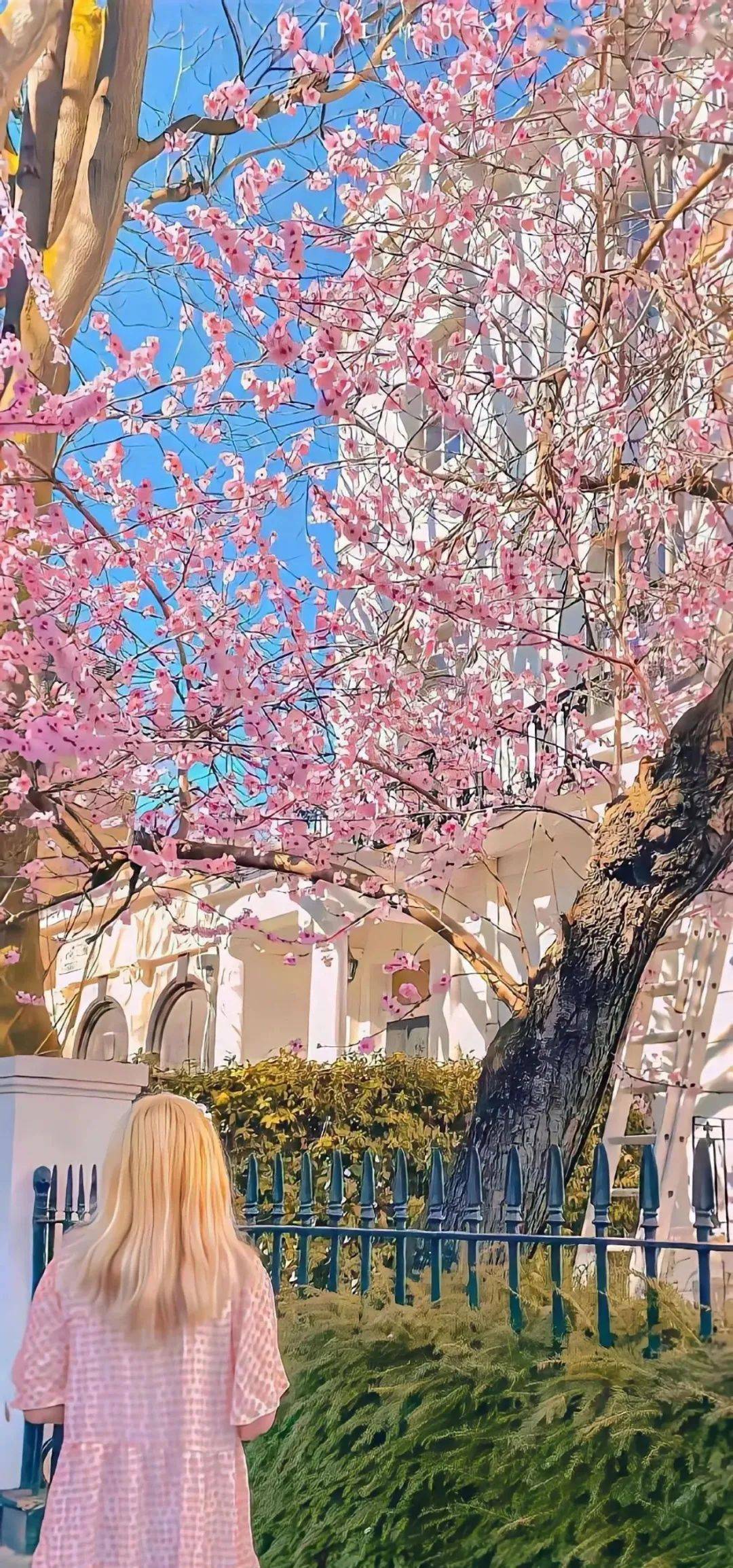 壁纸 | 高级感满满的ins风壁纸