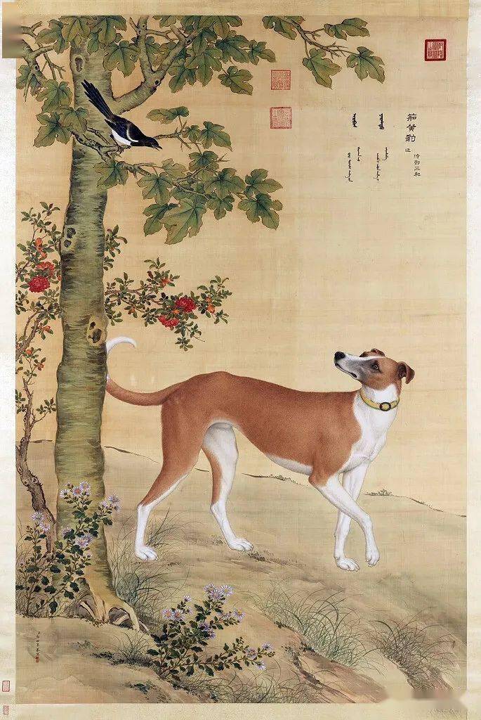 清郎世寧 十駿犬茹黃豹軸清冷枚 梧桐雙兔圖軸清盧見曾 借書圖軸張舒