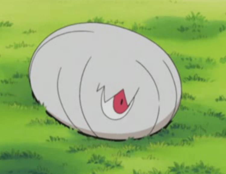 进化_甲壳蛹_蝴蝶