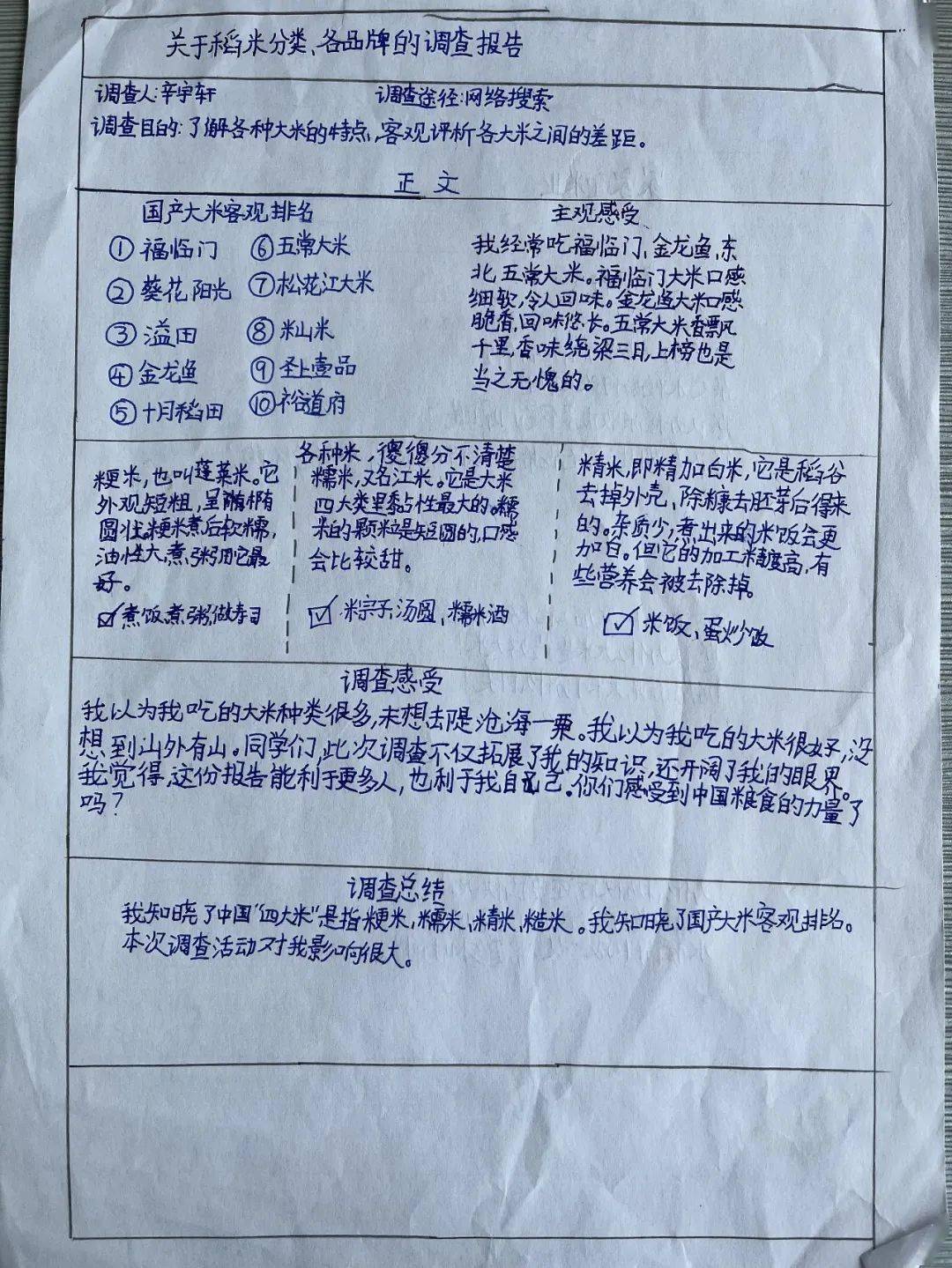 【校园动态】市昆吾小学开展纪念袁隆平院士主题实践活动_水稻_稻田