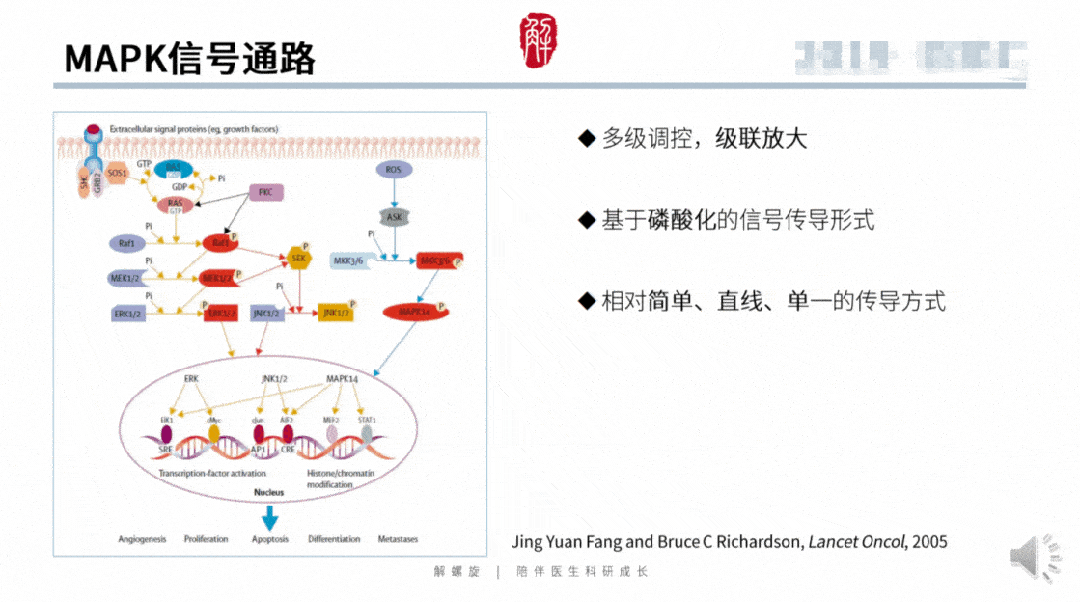 打开一看,满满300页的资料,全都是信号通路干货!