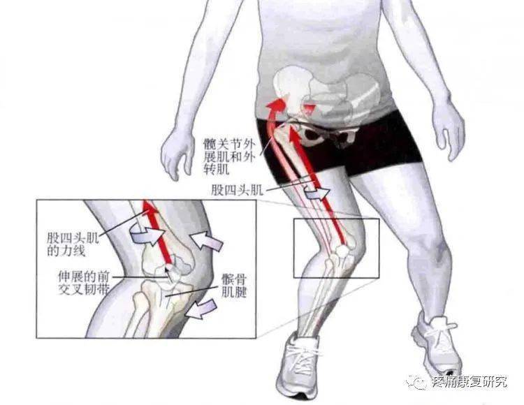 膝关节内翻应力试验图片