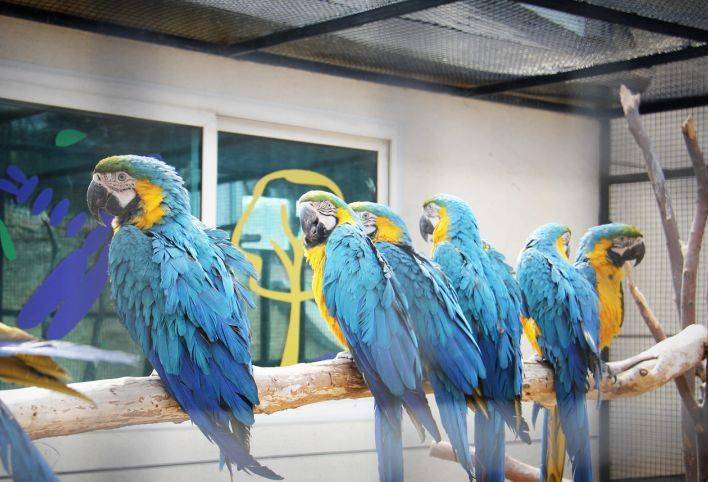 辽阳龙鼎山动物园与你童乐!看小丑!看表演!精彩童趣!