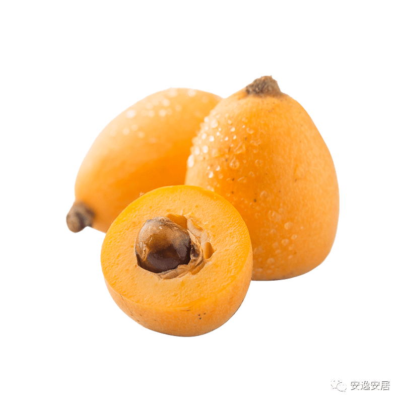 安居这里五星大枇杷"抢鲜"上市,鲜美多汁,位置就在→_产业_种植_水果