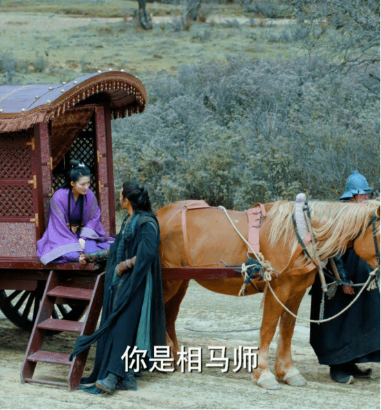 李沁气质偏古典,穿上古装置身马车中,也是别有韵味,不管是饰演