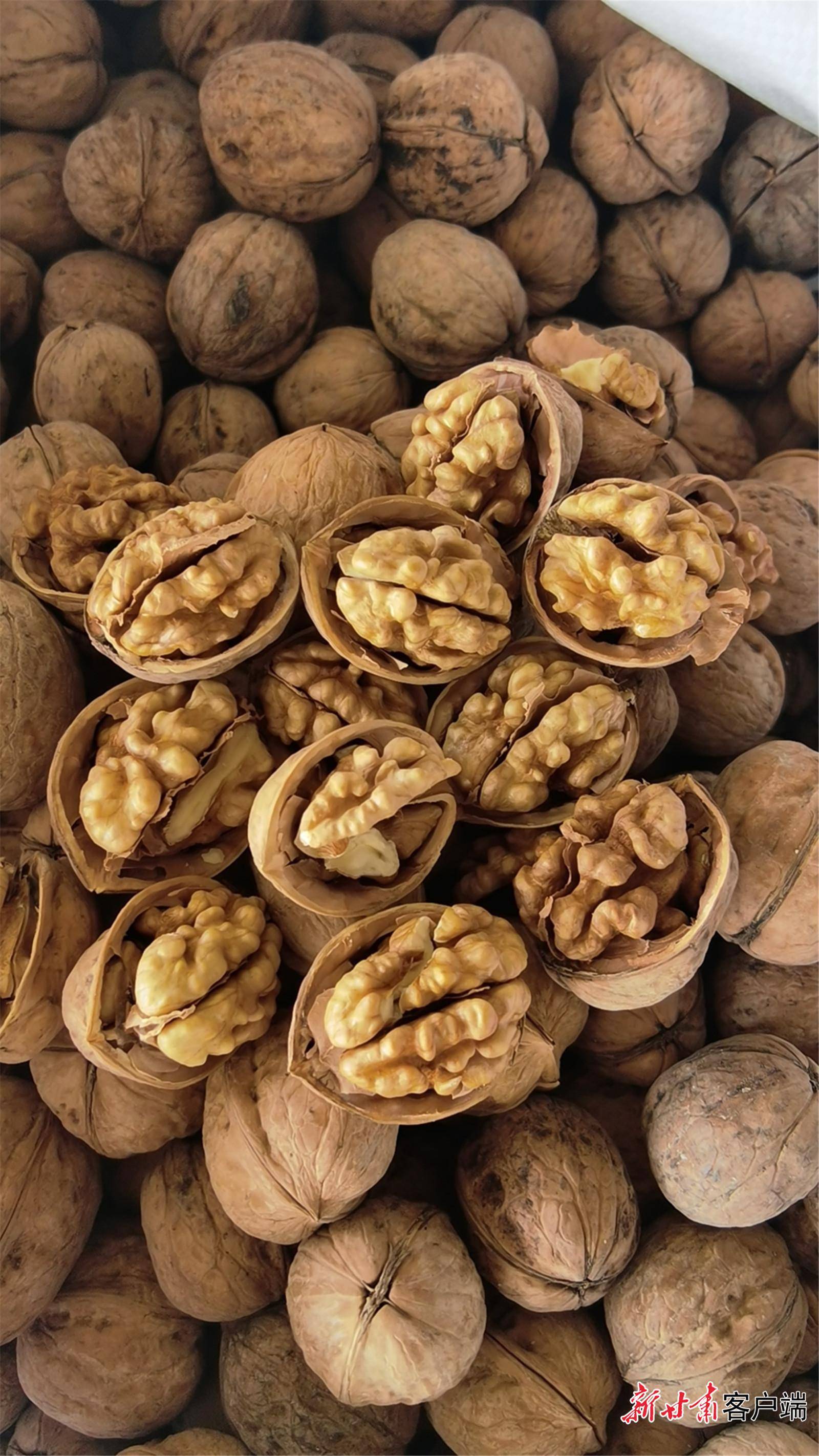 甘肃成县核桃首次出口印度_企业_陇南_海关