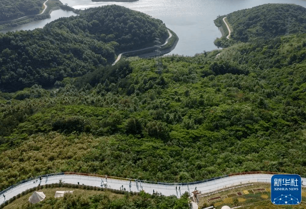 央媒省媒共同聚焦舟山"美廊"!_白泉_东海_百里