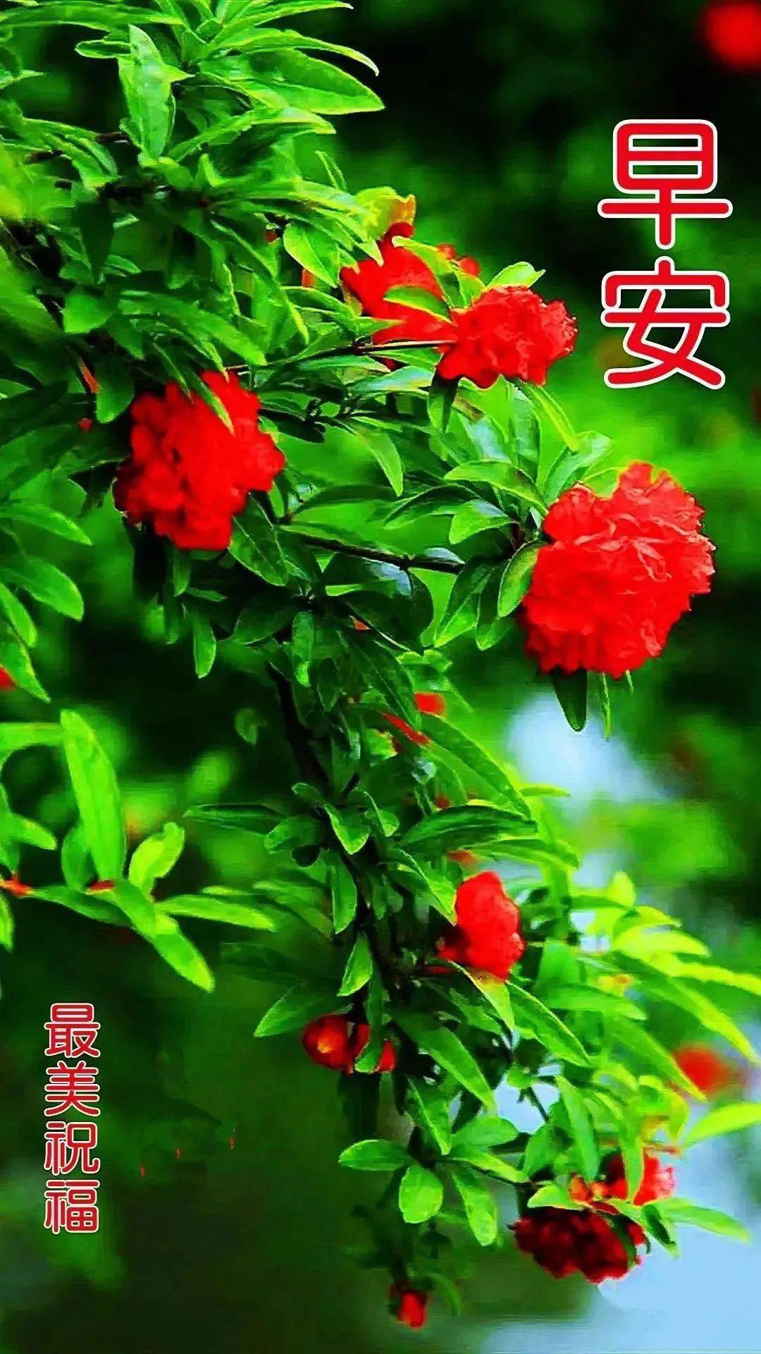 请在微信或其他浏览器中播放禅韵 音乐: 桑吉平措 - 禅韵 禅境慢品