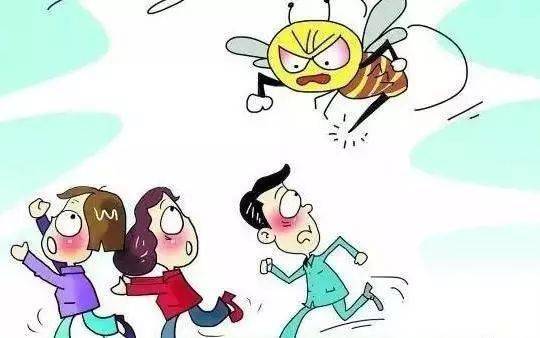 有毒刺的蜂类中,毒力以蜜蜂最小,黄蜂和大胡蜂较大,竹蜂最强.