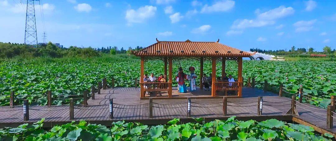 太行泉城 美丽邢台|新河县南湖公园:湖光十里 胜景一方_平台_敞阔