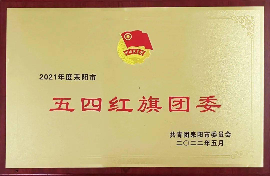 牢记初心和使命01正如衡阳市委常委,耒阳市委书记赖馨正在会上做总结