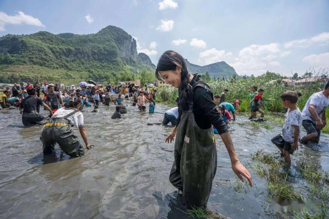 这场插秧节好有趣!_活动_朝门村_发展