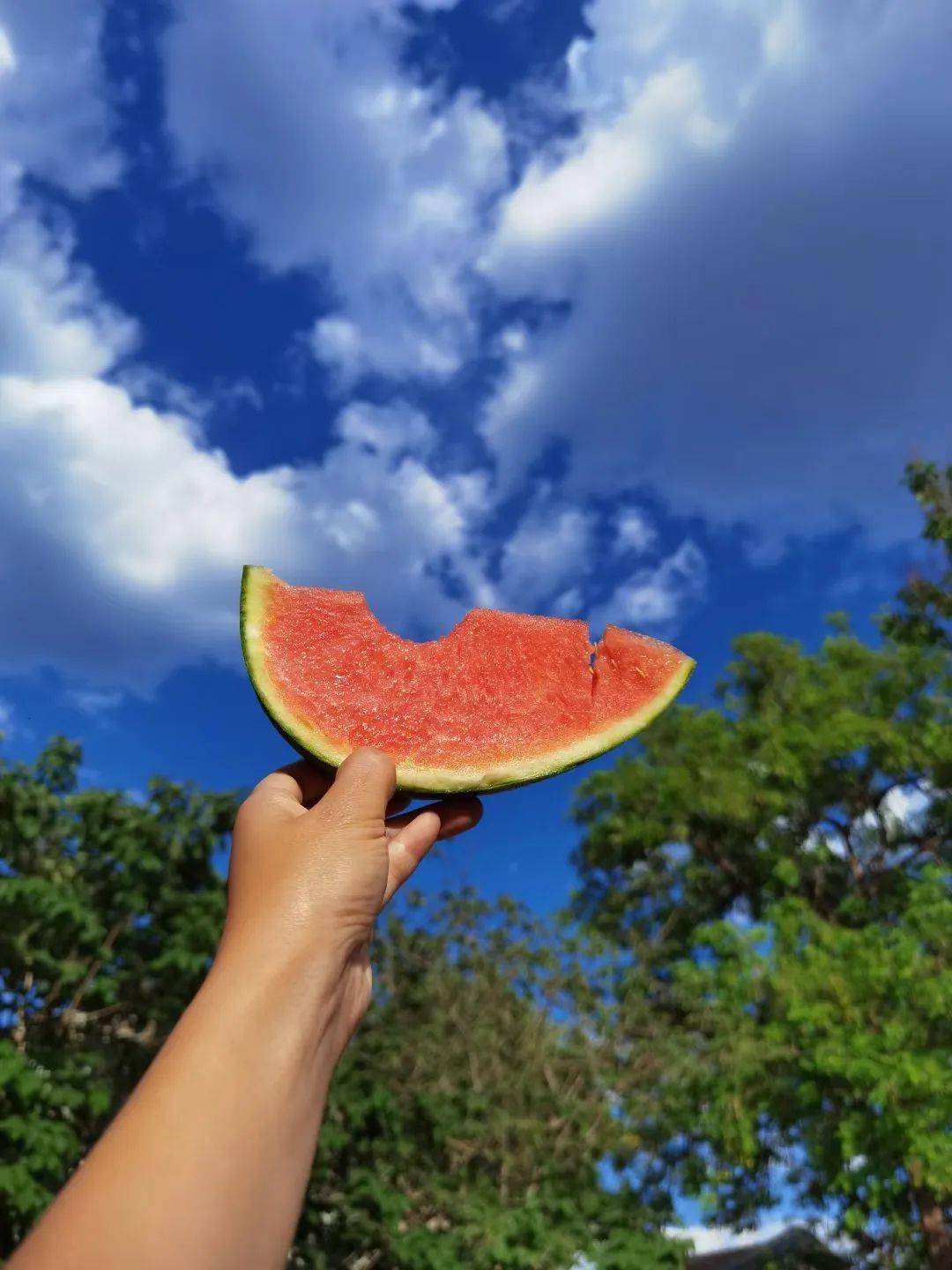 北京西瓜 来自搜狐网