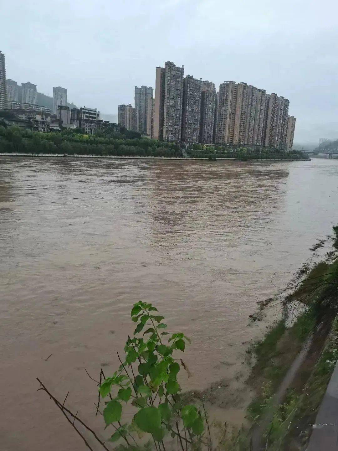 昨天晚上突然下起的大雨让城市内部也开始"涨水"了多处低洼路段,积水