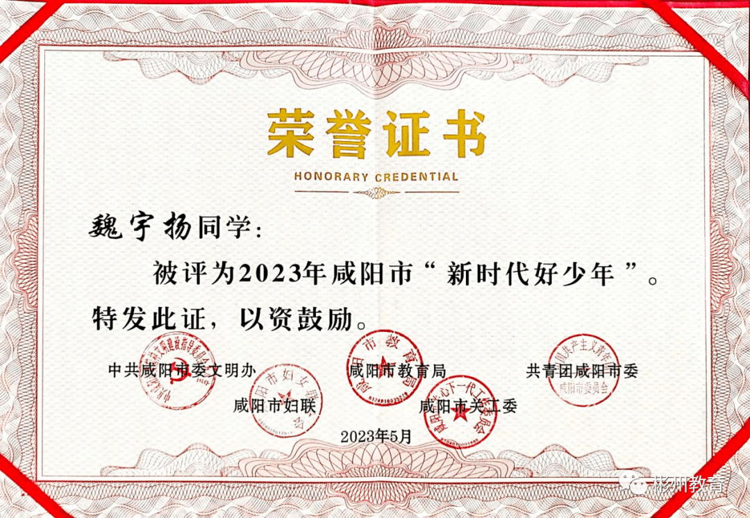 热烈祝贺我市东街小学(启迪教育)魏宇扬同学荣获咸阳