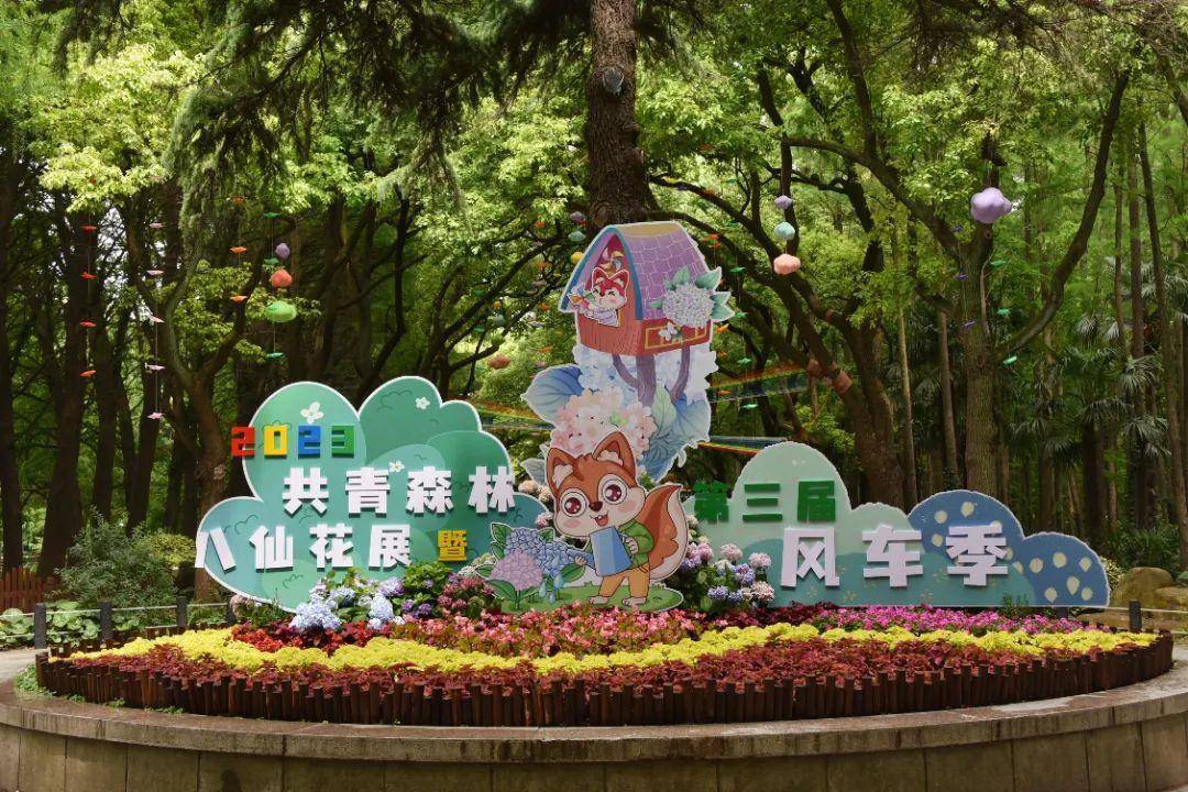 八仙花 风车,浪漫在此时_共青森林公园_主题_景观