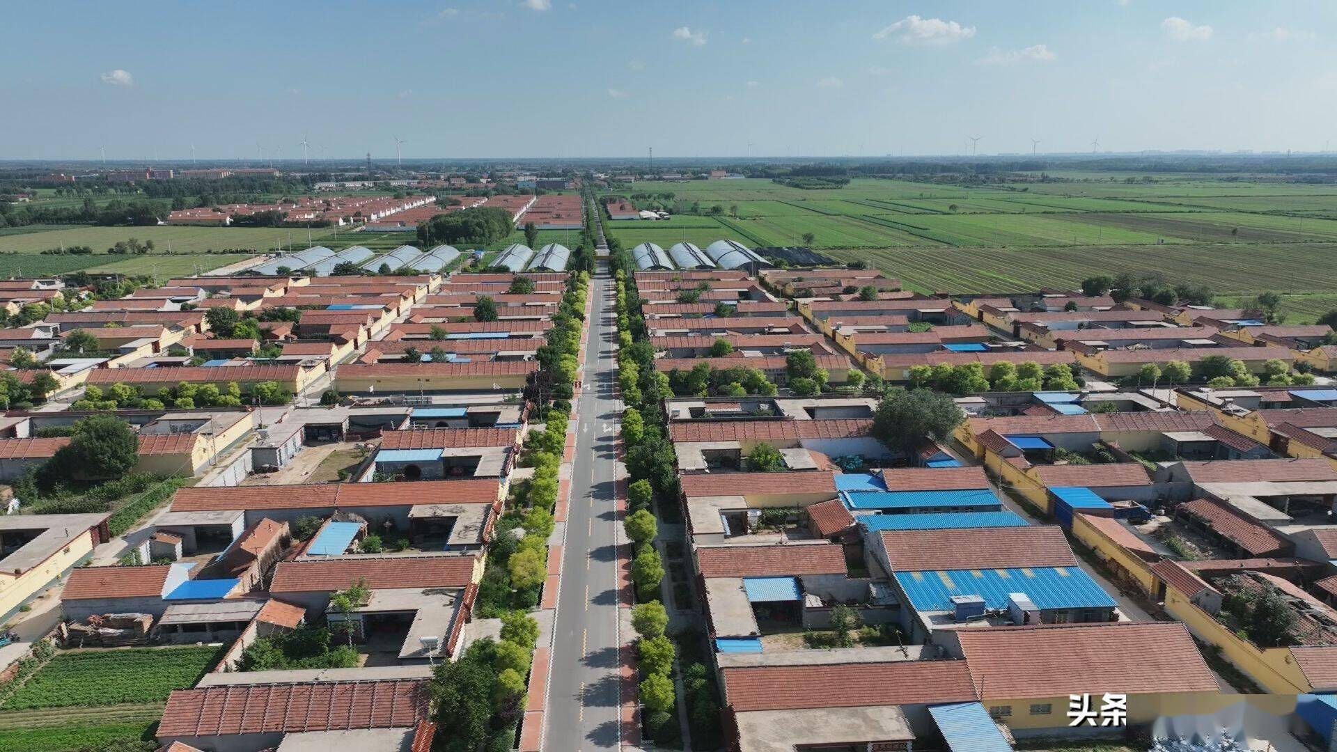 商河县龙桑寺镇:"看客"变"干客" 发动群众力量撬动人居环境整治顽疾