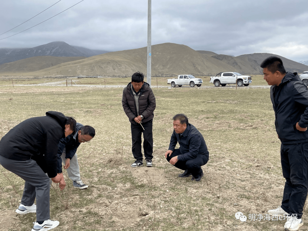 海西州生态环境局党组书记刘卫华督导检查布哈河流域水环境治理与生态