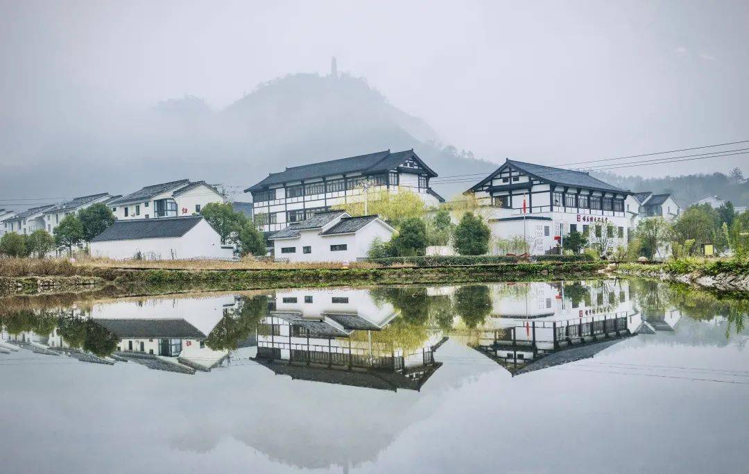 一滴水的72变丨碧水流过地生金_塔后村_乡村_天台