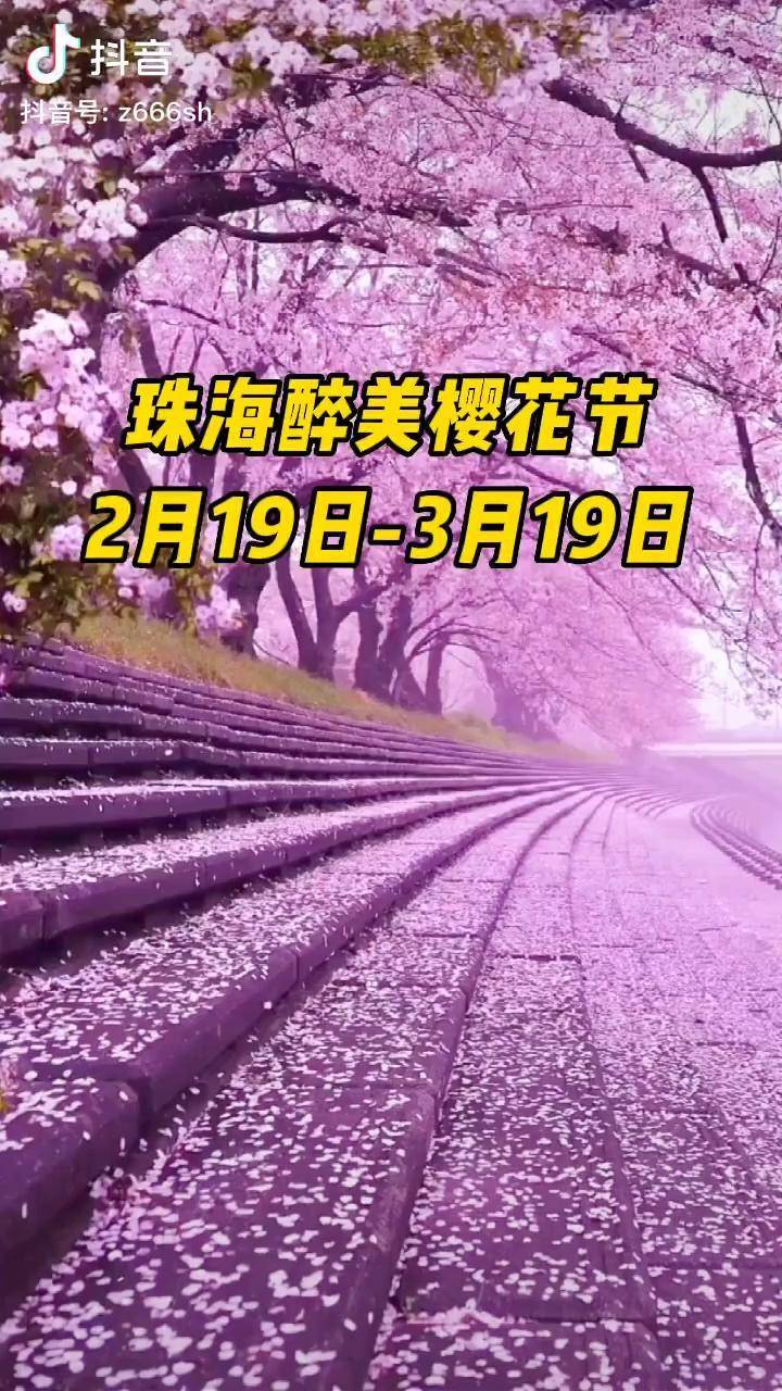 珠海醉美樱花节将于2月19日在观音山郊野公园盛大开启现抖音特惠票仅
