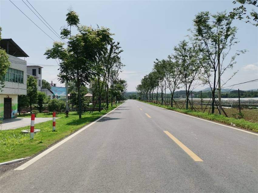 湖北咸安横沟桥镇"回头看":看得到的变化 听得见的喜悦_村民_农田