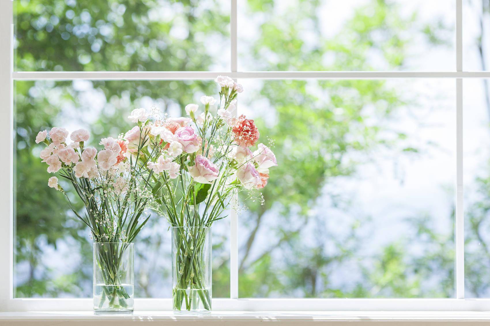 荷兰花卉业的奥秘：如何凭借半数全球产量成就“花卉王国”？_搜狐网