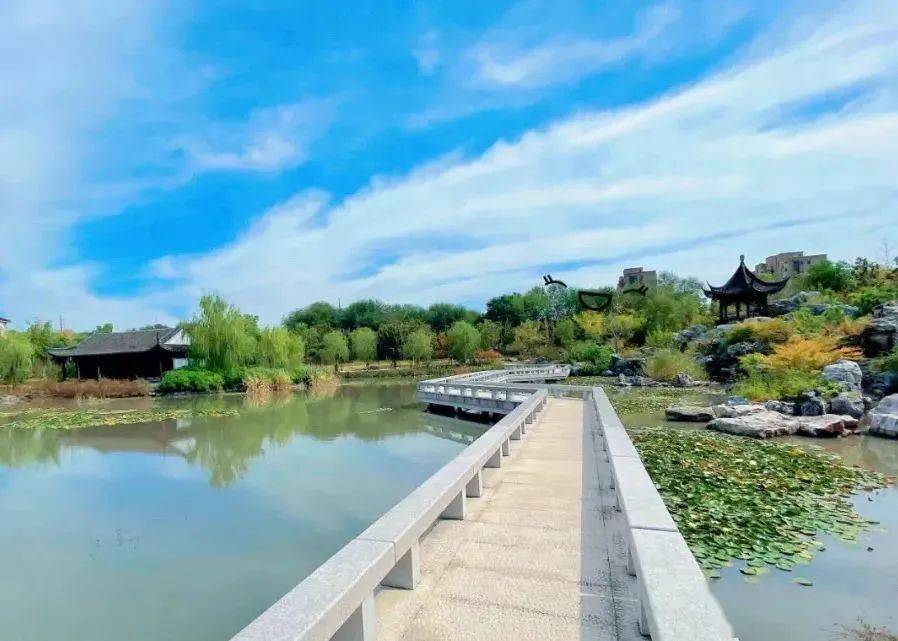 又仙又消暑~青浦人家門口の納涼地,看風景免費玩!_公園_夏日_假山