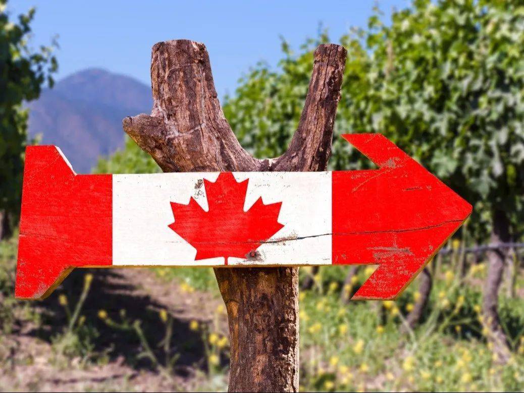 所以,来加拿大读书,什么时间都不晚.