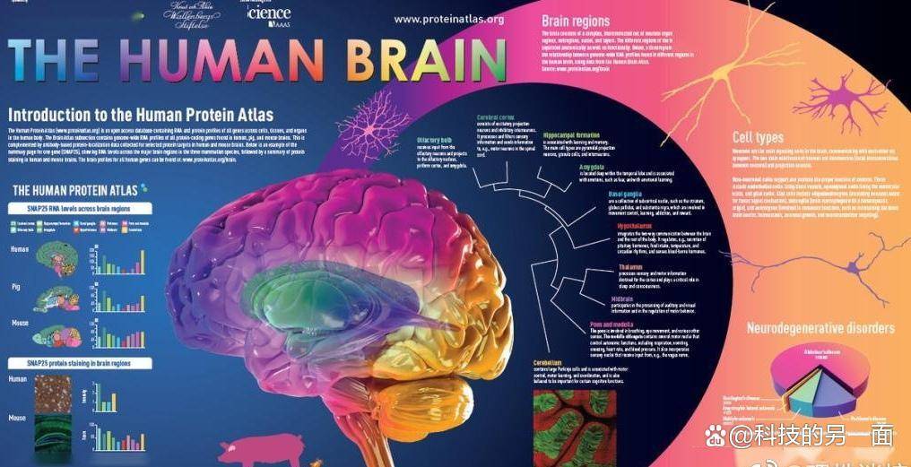揭秘人类脑计划与网上大量的“脑控”受害者