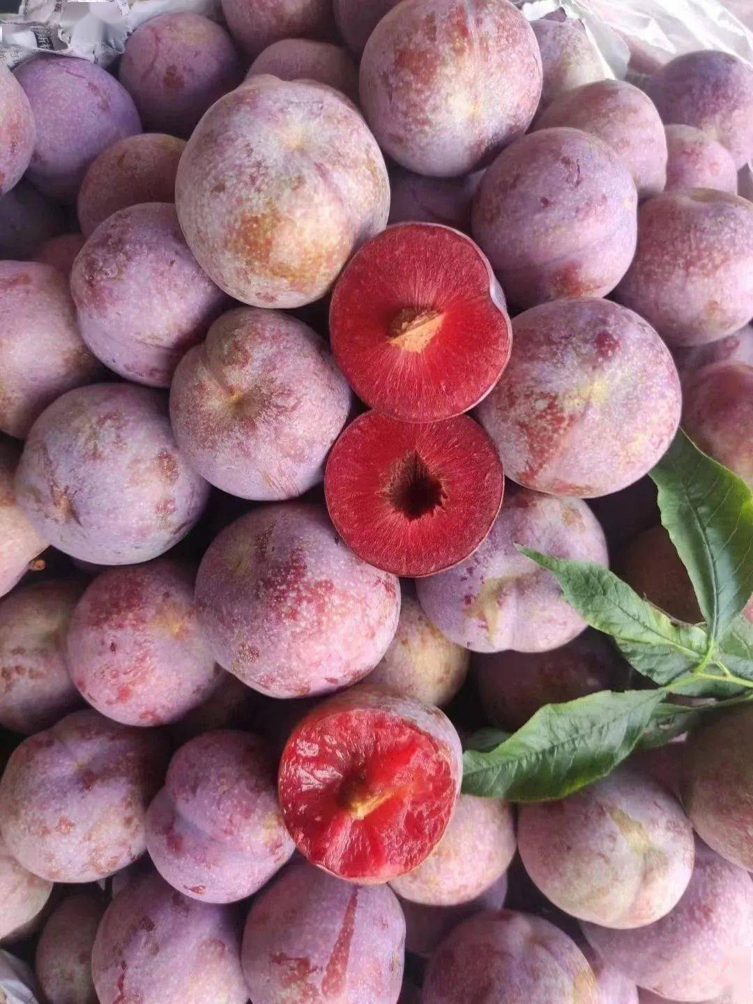 5斤礼品果仅需68元,信宜钱排三华李上线,当天摘当天寄,枝头到舌尖只需