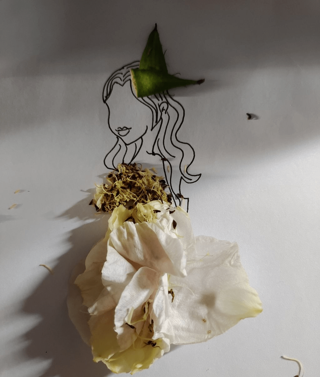 花草作画,雅韵流光_园林_园艺_张羽