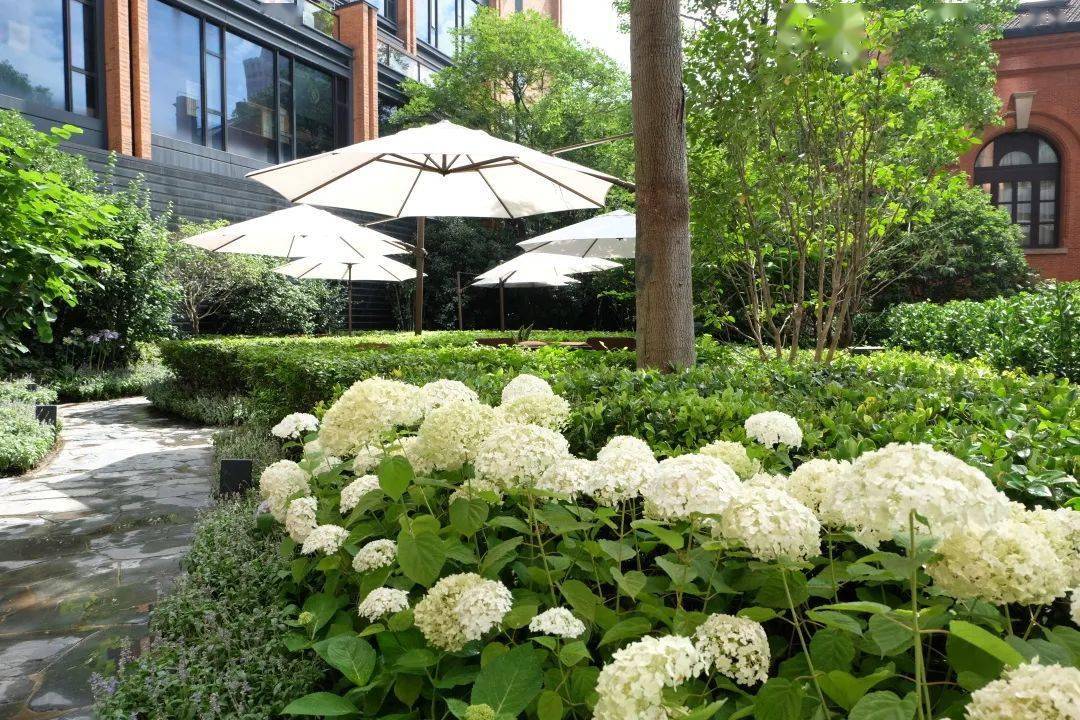 上海宝格丽酒店花园景观改造设计_the_bvlgari_design