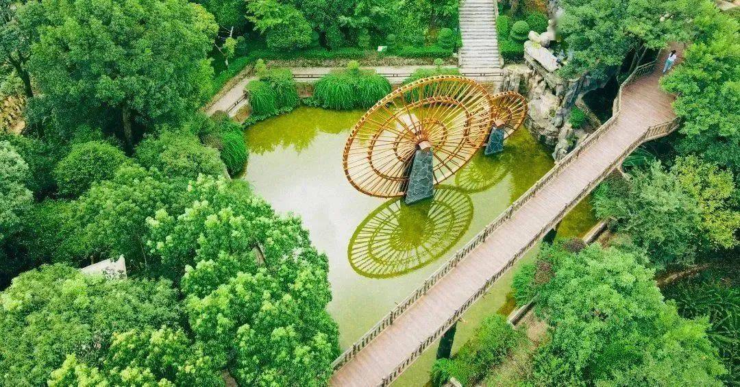 大月湾_文成_生态