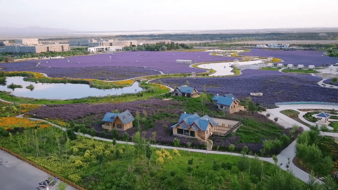 甘肃省文化旅游发展大会在金昌引发热烈反响_特色_全省_产业