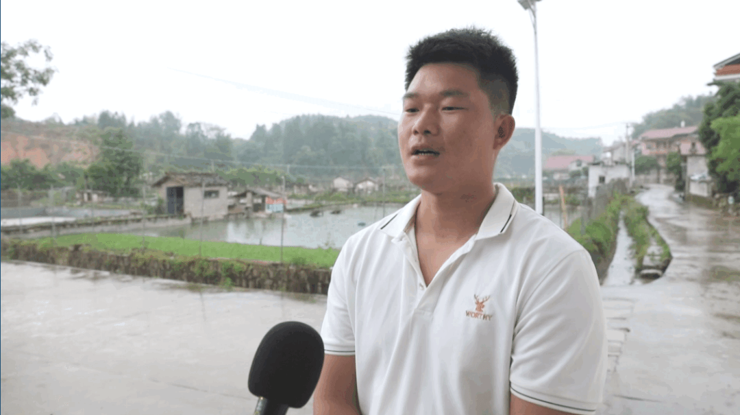 南丰:甲鱼蛋上市 价格稳步向好_养殖_销售_付明