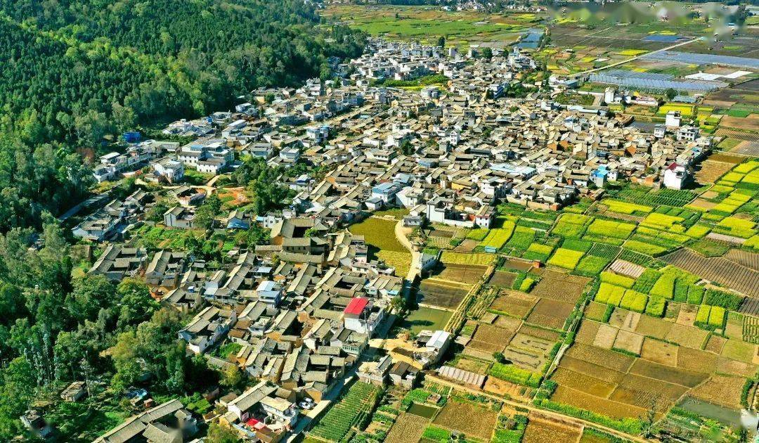 《黄草坝札记》中,徐霞客写道:"迤东之州,石屏为最盛;迤东之堡聚,宝秀