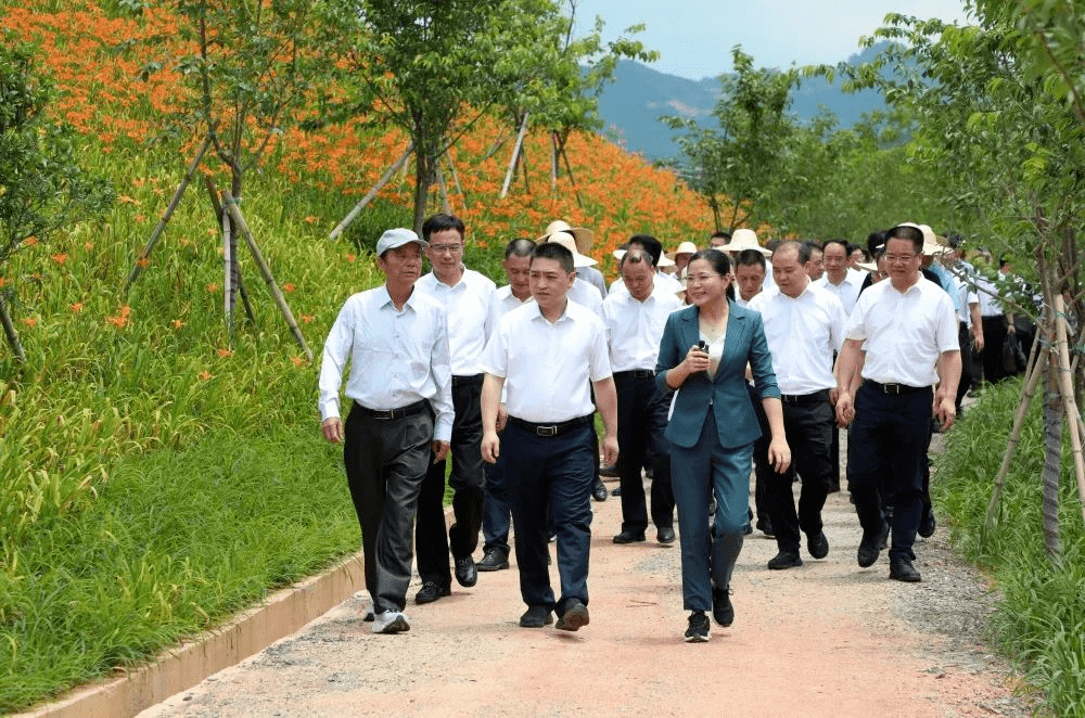 15月19日,龙岩市委副书记,市长胡盛率队赴漳平开展深入实施"深学争优