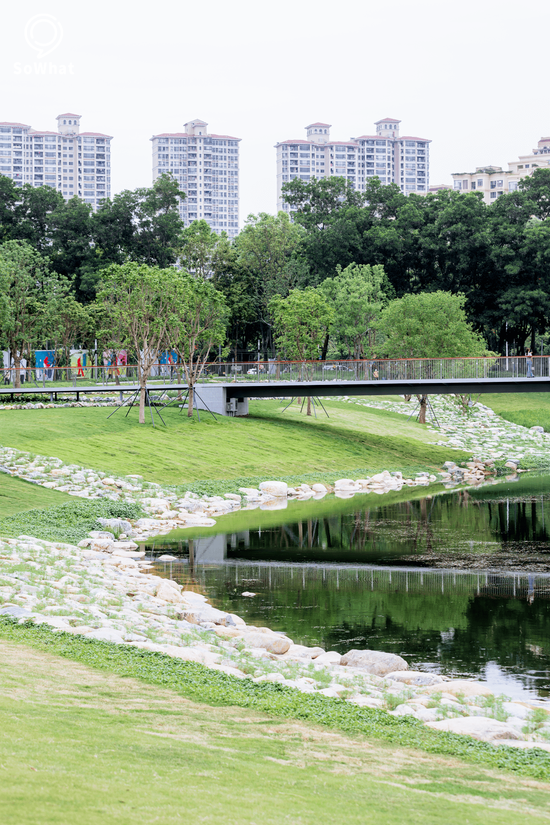 打卡cbd新地标,「东莞中心公园」已开放!_城市_孩子_草坪