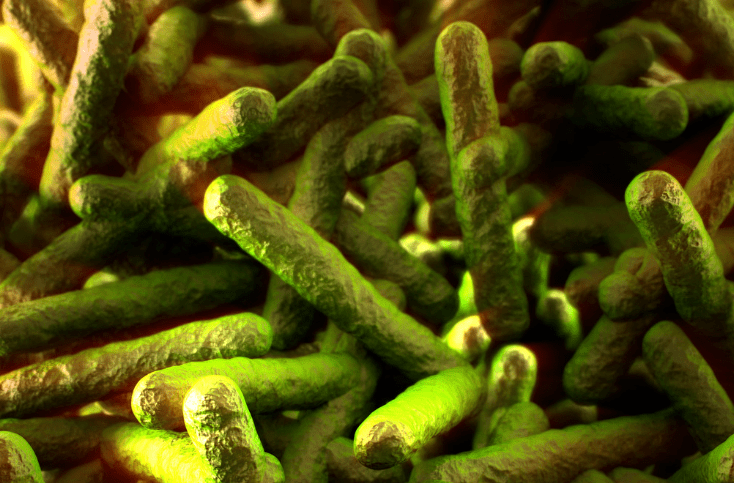 嗜冷菌种最常见的为李斯特菌和耶尔森菌